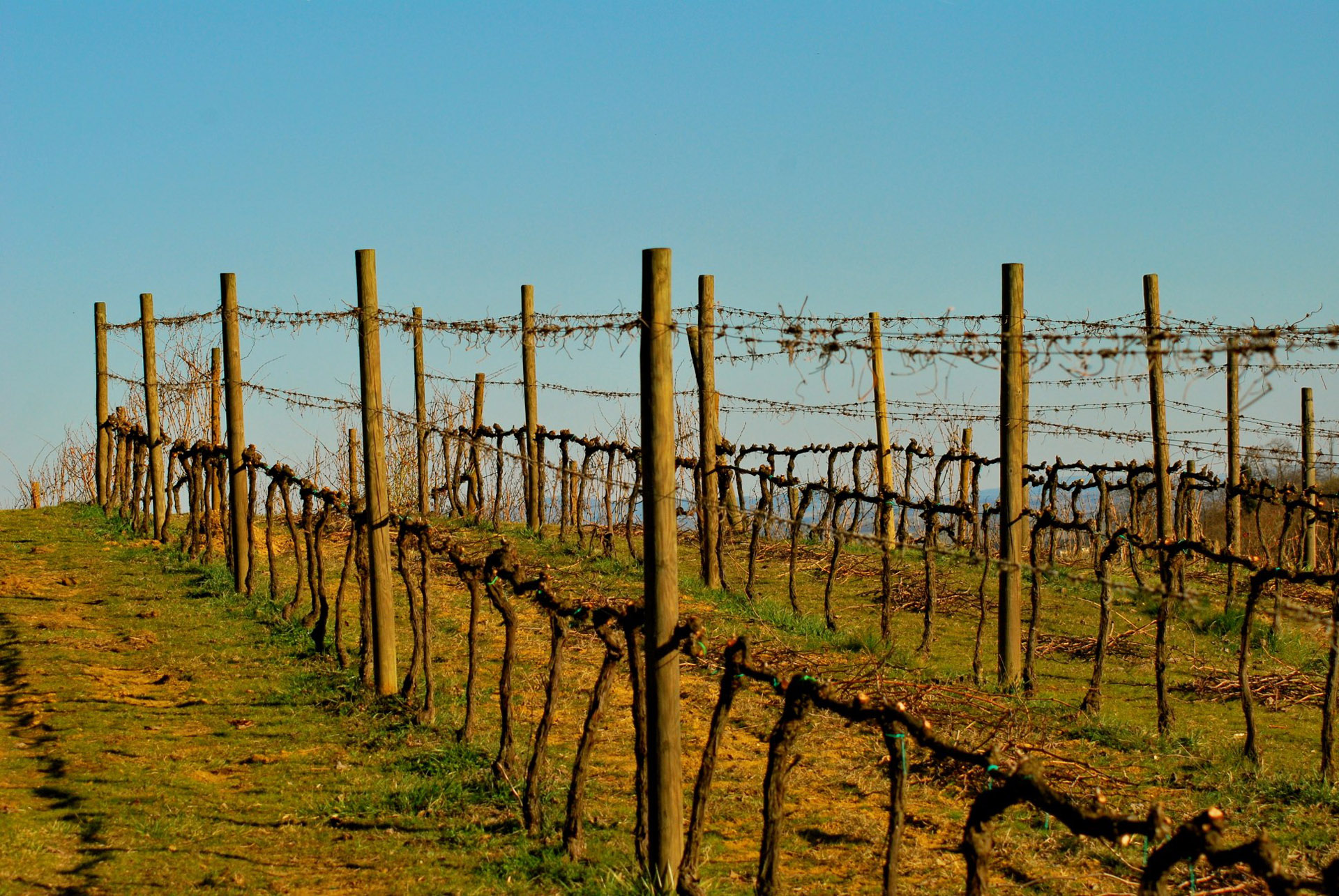 Artigo publicado na Revista da Espaço Rural